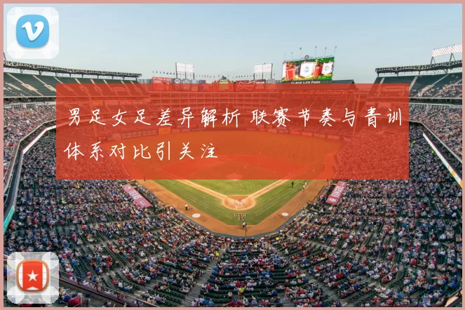 男足女足差异解析 联赛节奏与青训体系对比引关注