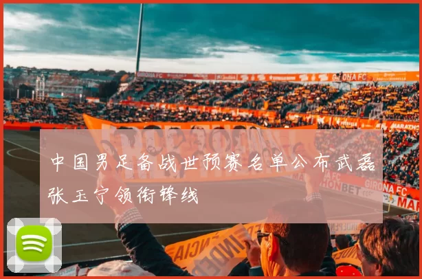 中国男足备战世预赛名单公布武磊张玉宁领衔锋线