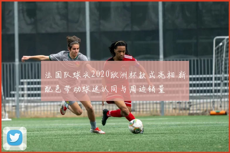 法国队球衣2020欧洲杯款式亮相 新配色带动球迷认同与周边销量