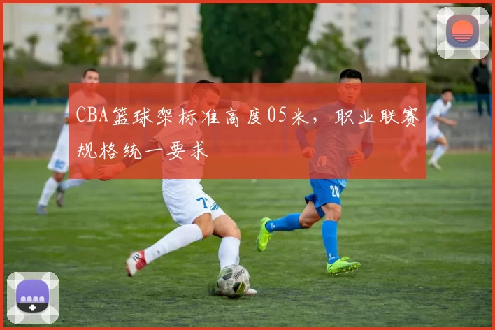 CBA篮球架标准高度05米，职业联赛规格统一要求