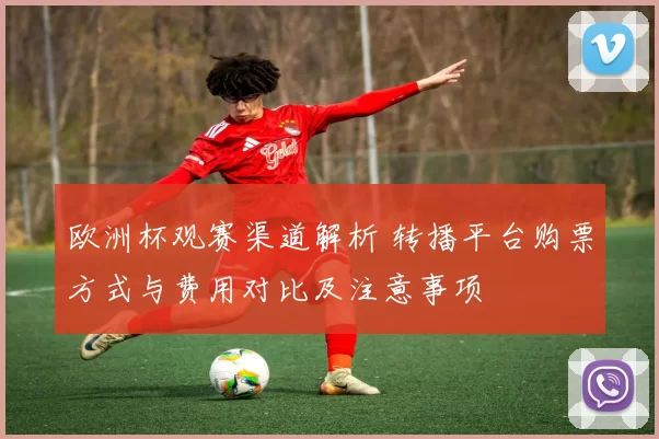 欧洲杯观赛渠道解析 转播平台购票方式与费用对比及注意事项