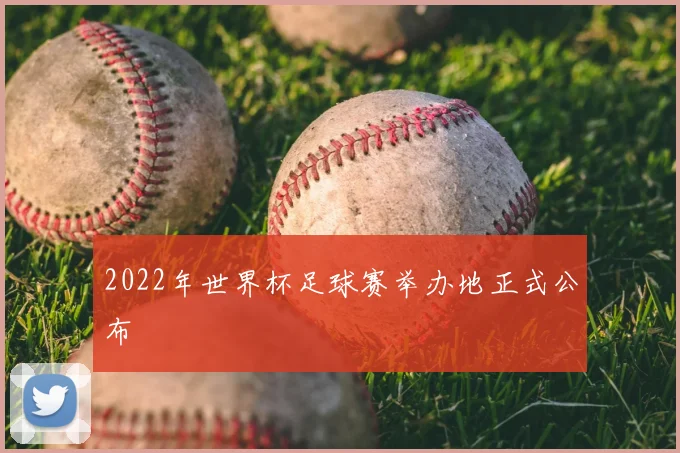 2022年世界杯足球赛举办地正式公布