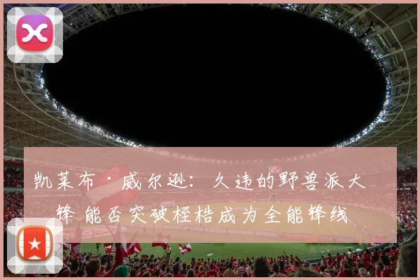 凯莱布·威尔逊：久违的野兽派大前锋 能否突破桎梏成为全能锋线