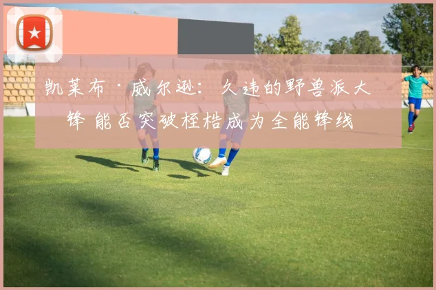 凯莱布·威尔逊：久违的野兽派大前锋 能否突破桎梏成为全能锋线